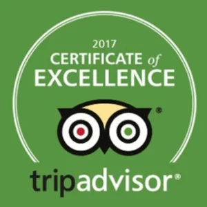 Trip-Advisor-2017-600x344
